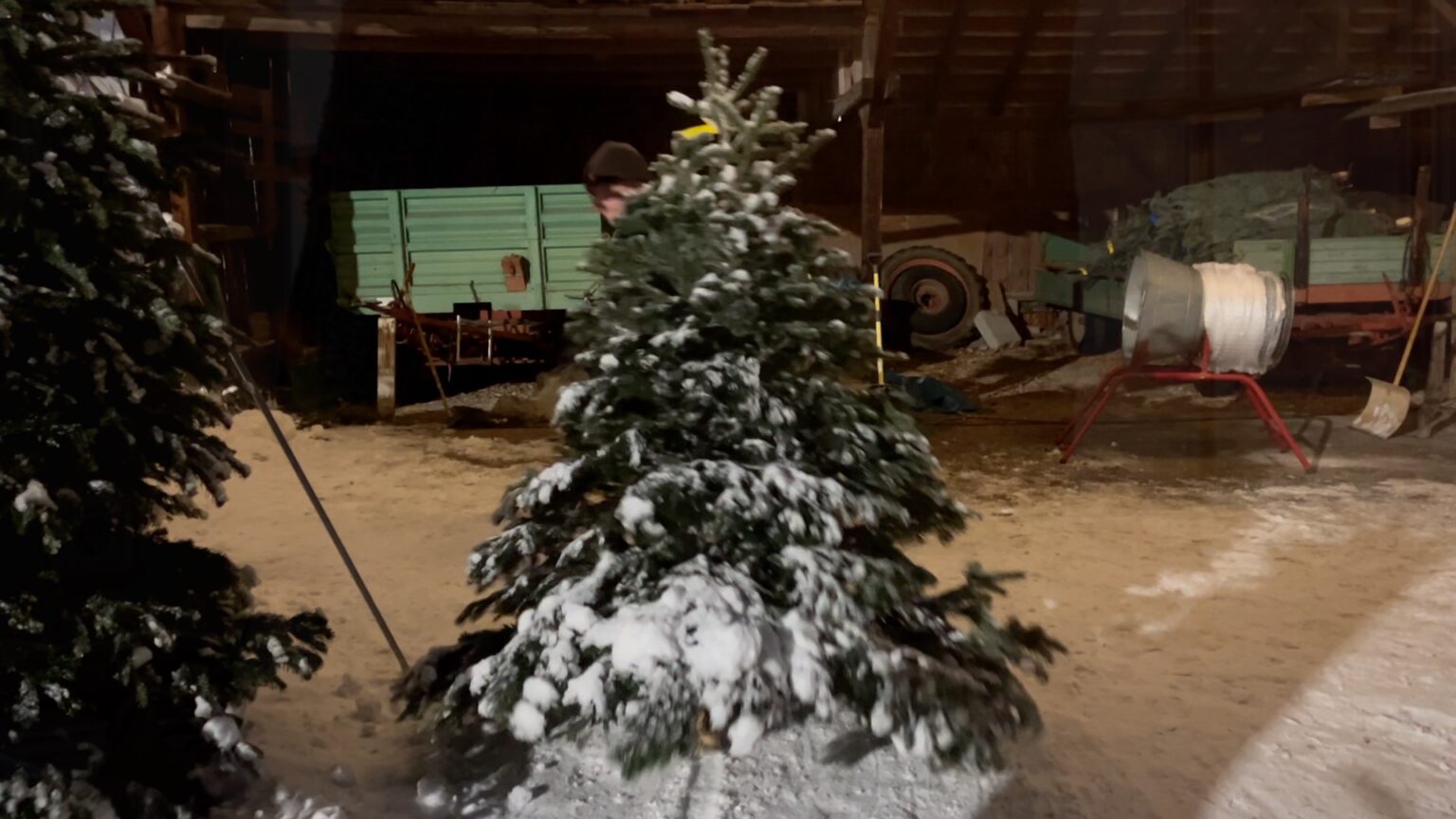 Christbaum schmücken, dekorieren & Tipps zur Haltbarkeit